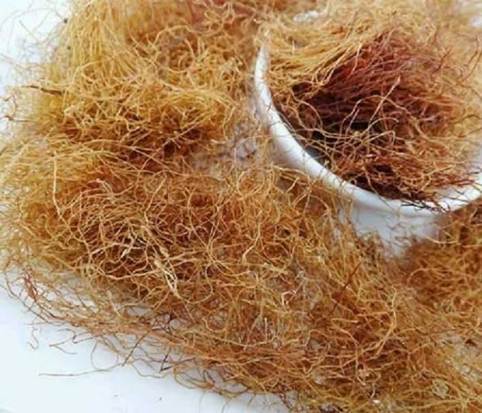 Trà râu ngô khô cũng có công dụng làm sạch đường tiết niệu, giải độc, giải nhiệt và lợi tiểu; cách nấu trà râu ngô