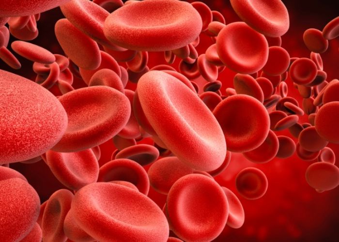 Trẻ bị rối loạn đông máu có thể tiểu ra máu khiến nước tiểu màu hồng, đỏ